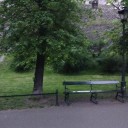 Czerwcowe upały były odczuwalne także w mediach społecznościowych. Internauci dyskutują o zmianach klimatu i betonozie