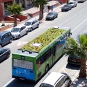 Mobilne zielone dachy na autobusach