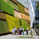 Ściany zielone na EXPO 2015 w Mediolanie