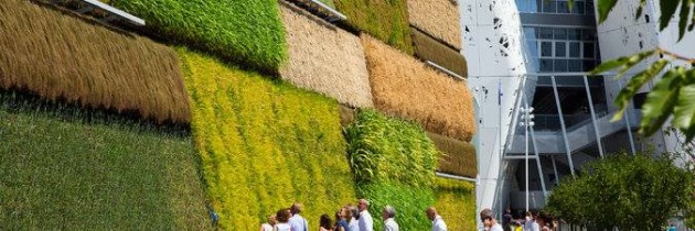 Ściany zielone na EXPO 2015 w Mediolanie
