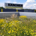 Łąka kwietna na dachu zielonym Karcher w Krakowie