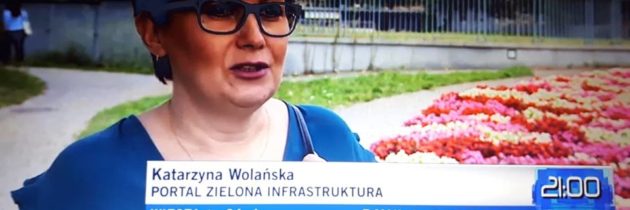 Wypowiedź Katarzyny Wolańskiej w TVN24 – 16.08.2018