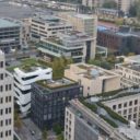 Berlin program 1 000 zielonych dachów