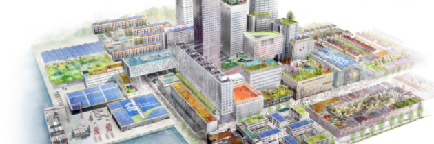 Eko-lokator: Różnorodne funkcje powierzchni dachowych w mieście Rotterdam