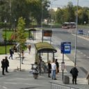 Eko-lokator: Zielone przystanki retencjonujące wodę opadową w Radomiu – element zielonej infrastruktury i zagospodarowania wód opadowych