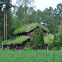 Oslo – stolica kraju przesyconego zielonymi dachami