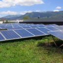 Efekt synergii wynikający z połączenia paneli fotowoltaicznych i dachu zielonego – produkcja energii na dachach biosolarnych