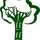 Konferencja on-line „Zieleń miejska – Naturalne Bogactwo Miasta. Architektura Krajobrazu wobec zmian klimatycznych” 8.10.20