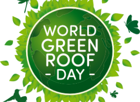 6 czerwca Światowy Dzień Zielonych Dachów