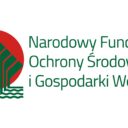 Jerzyki „2022” – ptasi lokatorzy na dachach NFOŚiGW