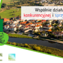 Rozpoczęcie realizacji projektu „Zielone korytarze miejskie – klimatyczne przebudzenie w Koninie”
