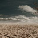 IPCC: zmiany klimatu wywołane emisją gazów cieplarnianych już dziś powodują straty w przyrodzie i wśród ludzi