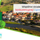Działania edukacyjne w projekcie „Zielone korytarze miejskie – klimatyczne przebudzenie w Koninie”