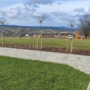 Podsumowanie efektów projektu pn. „Realizacja inwestycji w zakresie zielono-niebieskiej infrastruktury na terenie gmin należących do Związku Gmin Dorzecza Wisłoki”