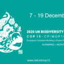 COP-15 Porozumienie z Montrealu ws. różnorodności biologicznej