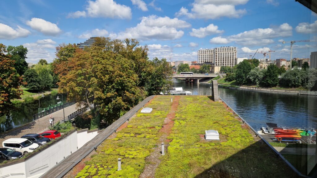 marina z dachem zielonym