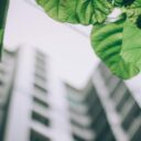 ESG w nieruchomościach – dlaczego zrównoważone budynki zyskują na wartości?
