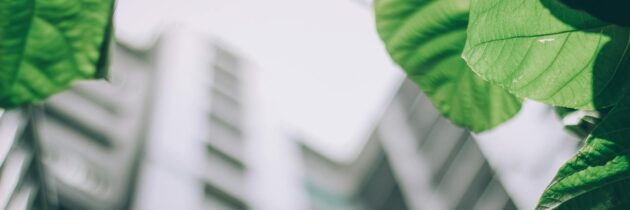 ESG w nieruchomościach – dlaczego zrównoważone budynki zyskują na wartości?