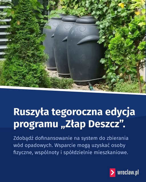 Złap deszcz