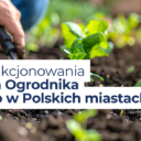 Ogrodnik miejski w polskich miastach: modele, wyzwania i rekomendacje IRMiR