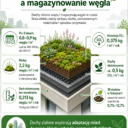 Dachy zielone a wiązanie i magazynowanie węgla – biologiczna sekwestracja węgla